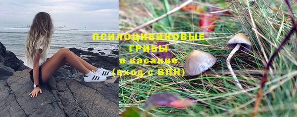 мяу мяу мука Покровск