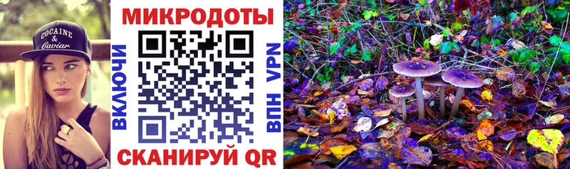 Купить  Балашиха  Псилоцибиновые грибы мицелий 